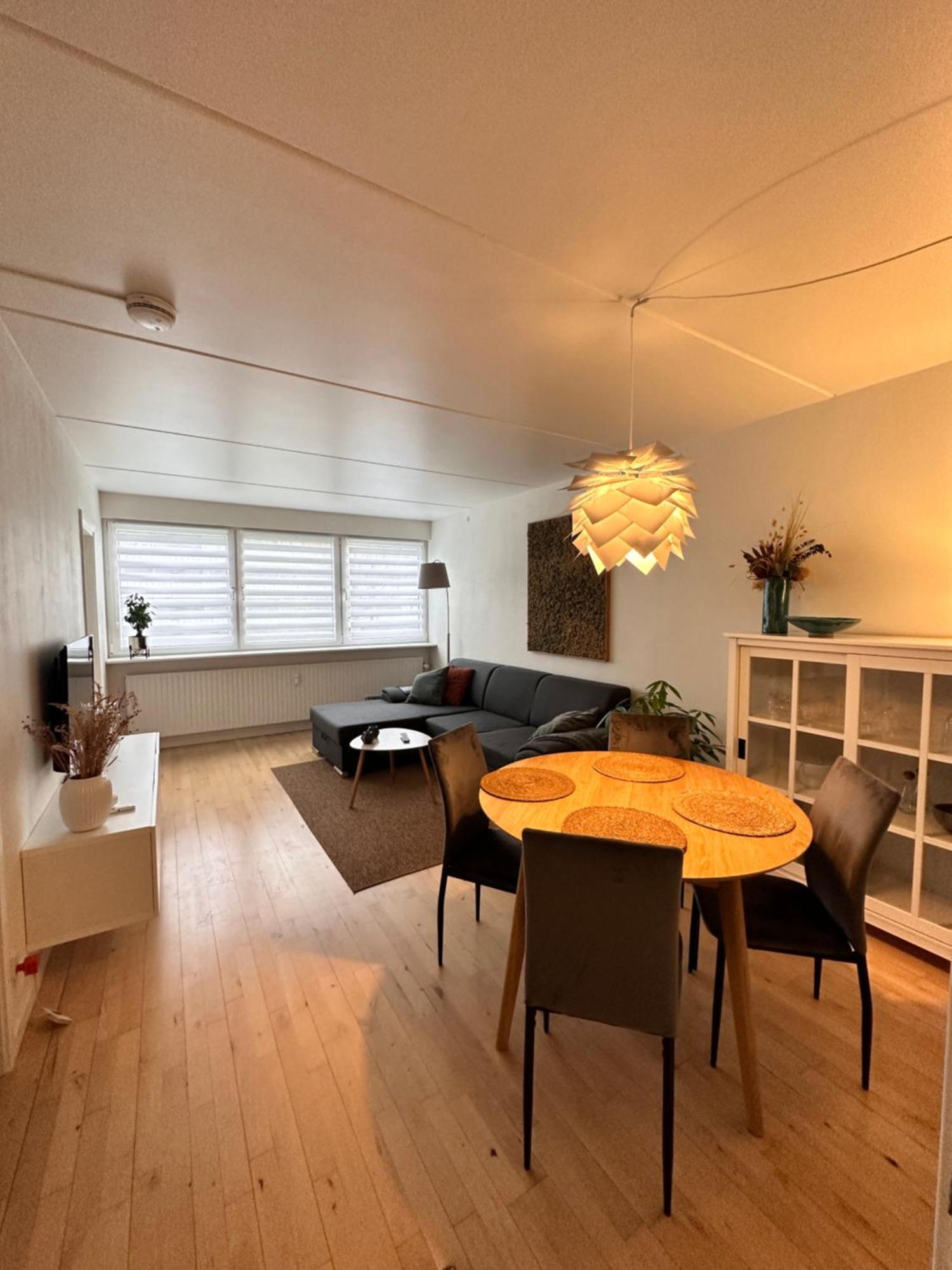 Privat One Bedroom Apartment With Free Parking Οντένσε Εξωτερικό φωτογραφία